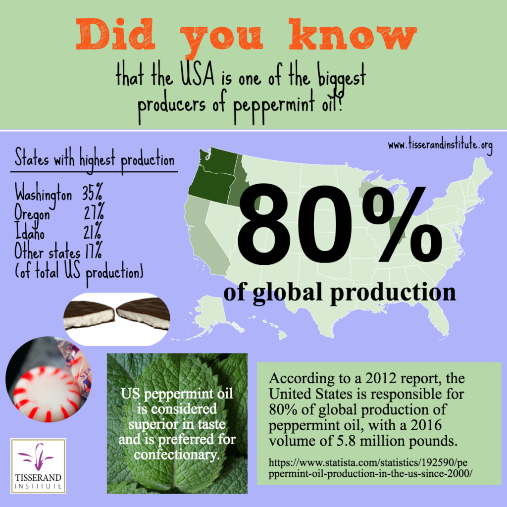 Tisserand Insititute Infographic-did-you-know that the USA is one of the biggest producers of peppermint oil? Did you know that the US is one of the largest producers of Peppermint Oil? #TisserandInstitute #EssentialOils #PeppermintOil #Peppermint