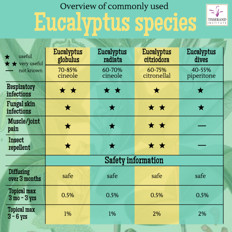 Types of eucalyptus uses and safety Tisserand Institute