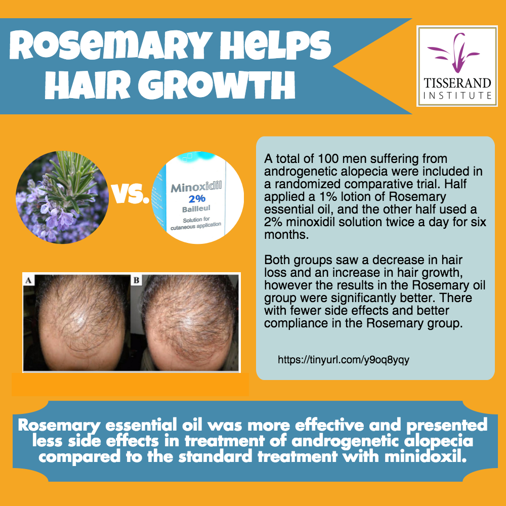 Rosemary Essential Oil Is A Promising Alternative For Hair Growth