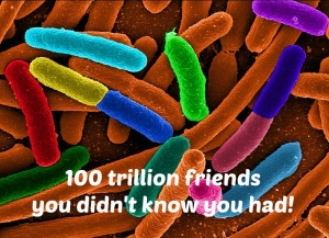100 trillion friends