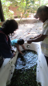 Shipibo family preparing aromatic bath containing aromatic medicinal plants: Pucallpa, Peru. © Kelly Ablard
