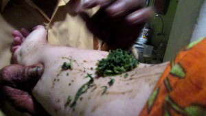 Macerated aromatic plants placed on arm to clear negative energy: Iquitos, Peru. © Kelly Ablard