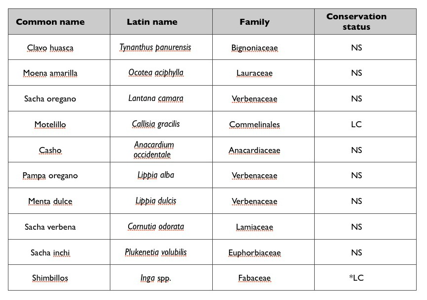 Table 2. Abundant Peruvian aromatic medicial plants. NS = No Status; LC = Least Concern. *A small percentage of Inga spp. are vulnerable.
