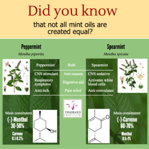 Differences Between Mint Essential Oils - Tisserand Institute