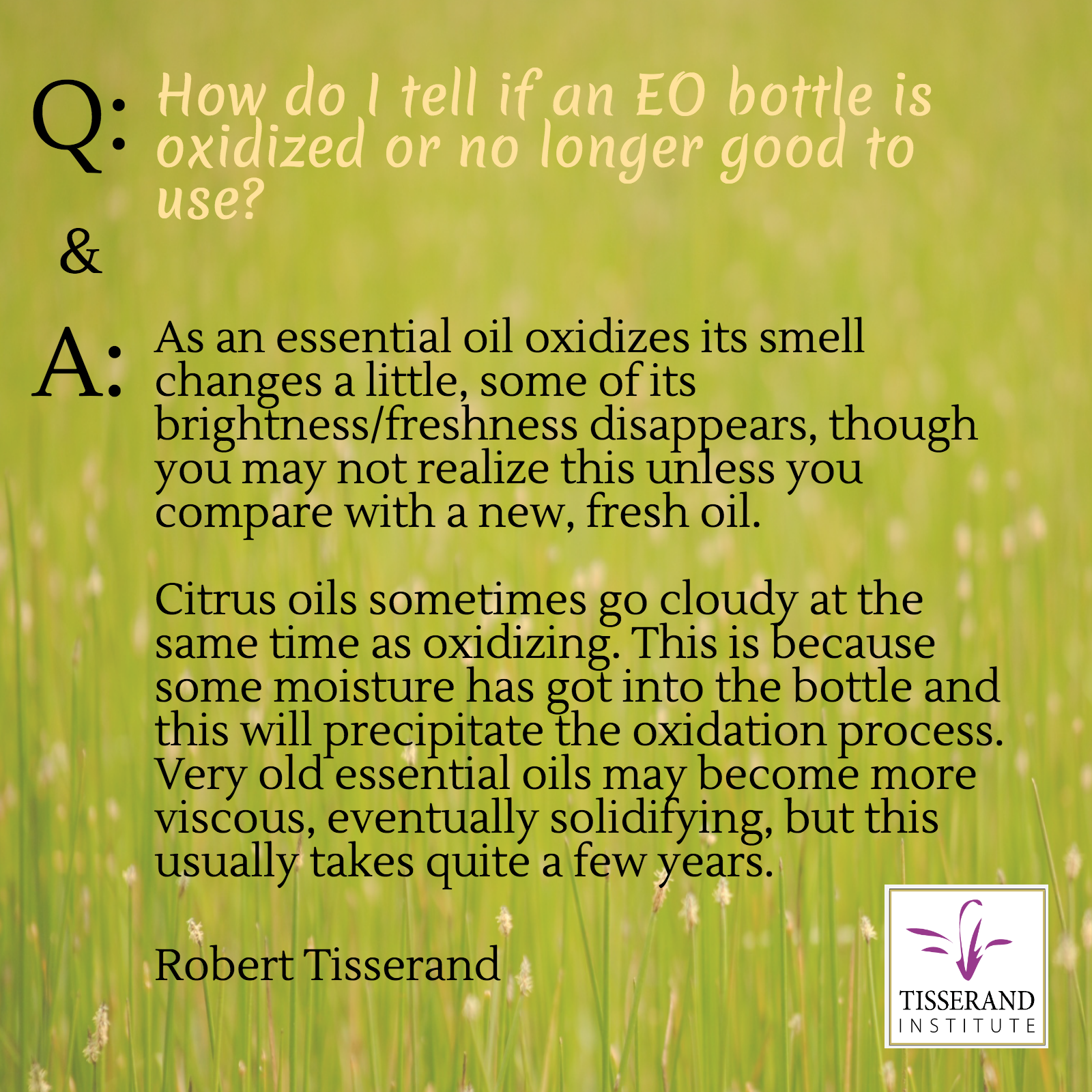 Question: How do I tell if an essential oil bottle is oxidized or no longer good to use? | Tisserand Institute Infographic #Tisserand #TisserandInstitute #Infographic #EssentialOils #information #study #research #safety #roberttisserand #applications #oxidized