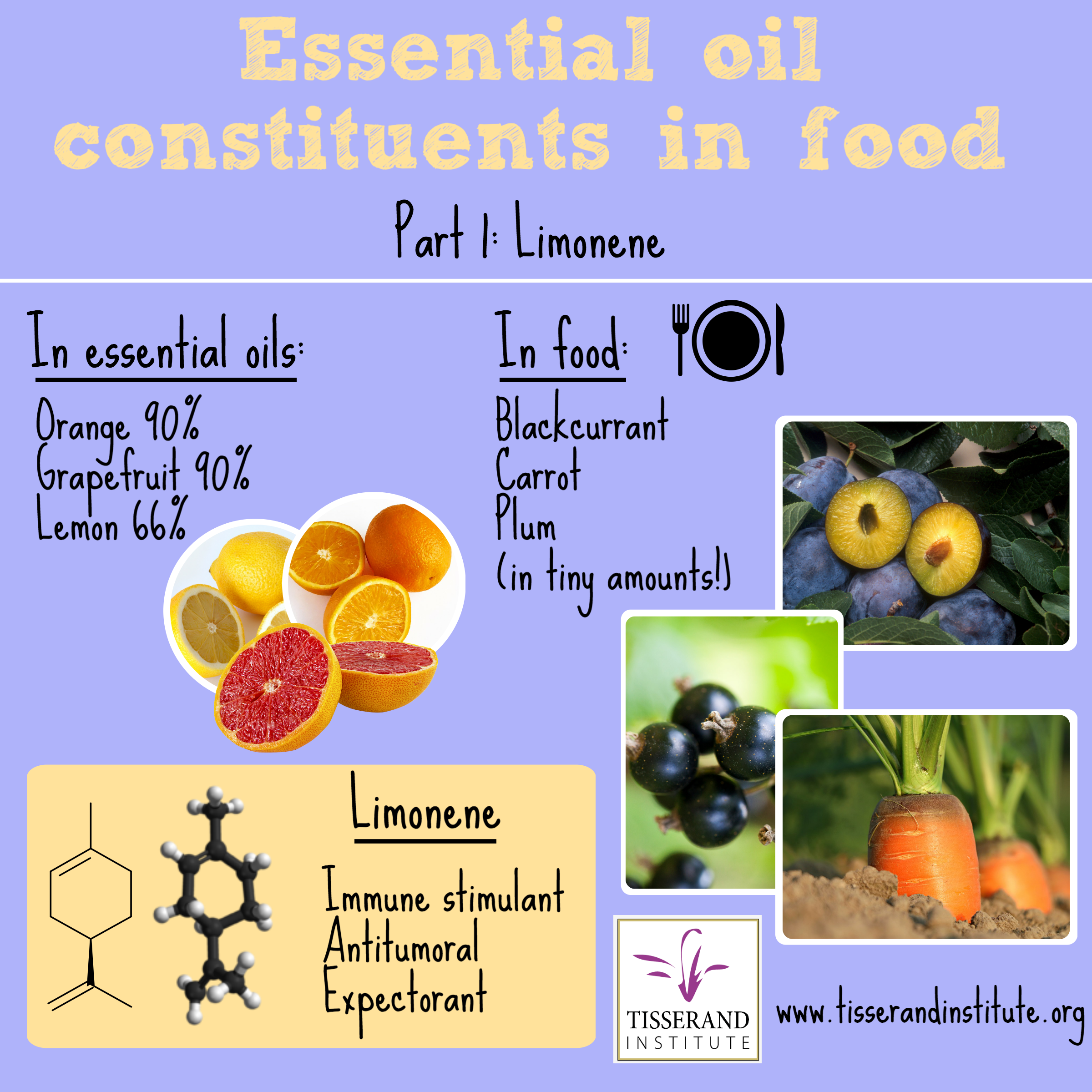 Tisserand Insititute Infographic Essential Oil Constituents in Food: Limonene #TisserandInstitute #Tisserand #Limonenel #EssentialOils