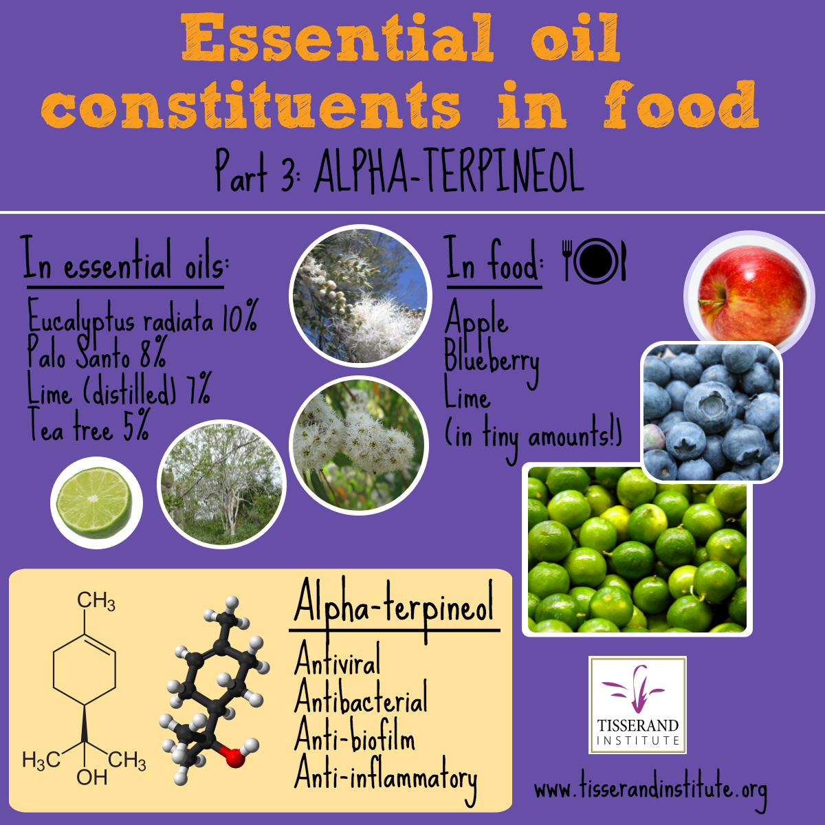 Tisserand Insititute Infographic-Essential Oil Constituents in Food: Alpha Terpineol #TisserandInstitute #Tisserand #AlphaTerpineol #EssentialOils