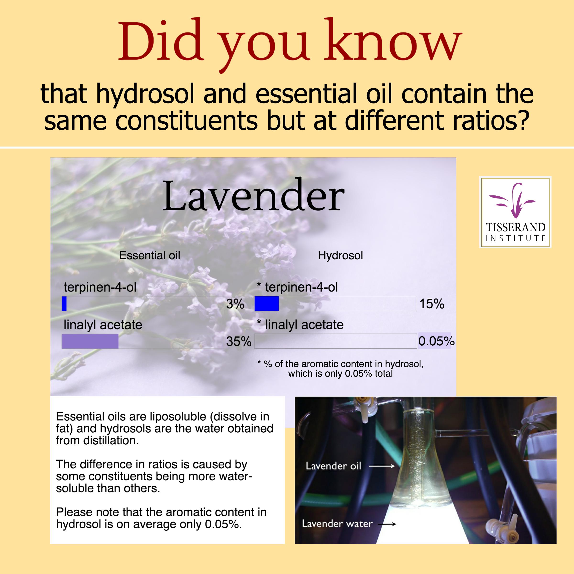 Hydrosol & Essential Oil | Did you know that Hydrosol and Essential Oil Contain the Same Constituents but at Different Ratios?