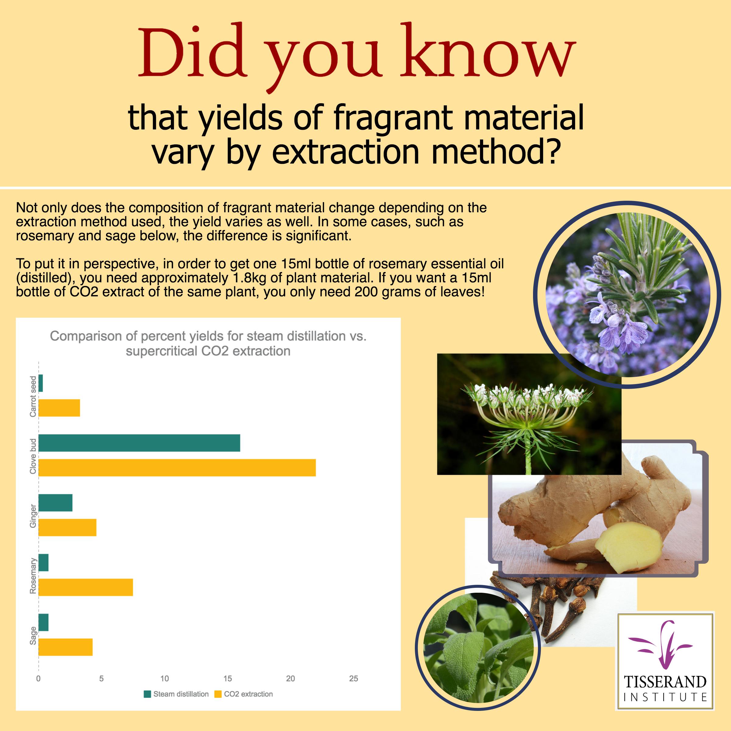 Did You Know That Fragrant Material Yields Vary by Extraction Method? #TisserandInstitute #Infographic #EssentialOils #Extraction #ExtractionMethod