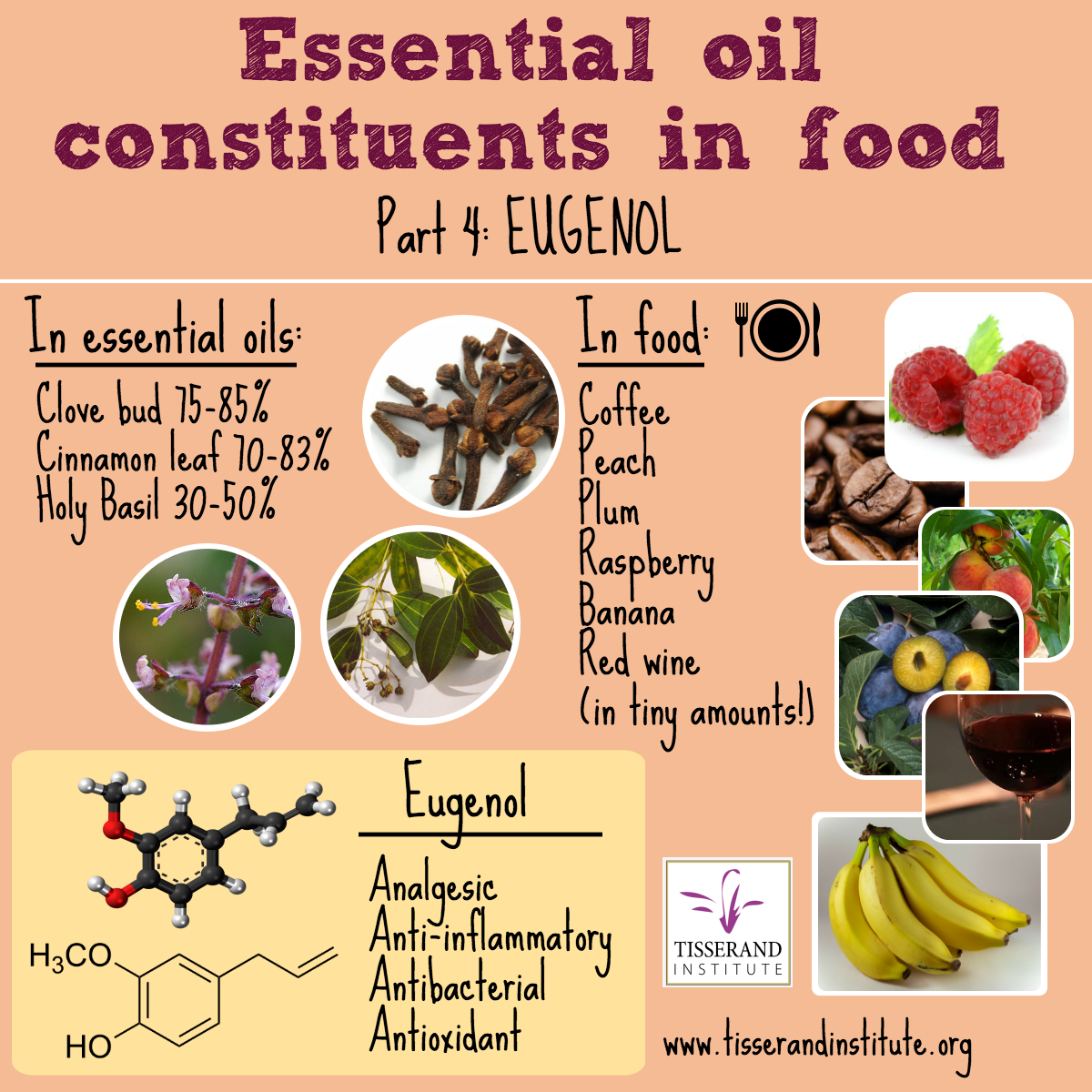 Eugenol: Essential Oil Constituents in Food Part 4