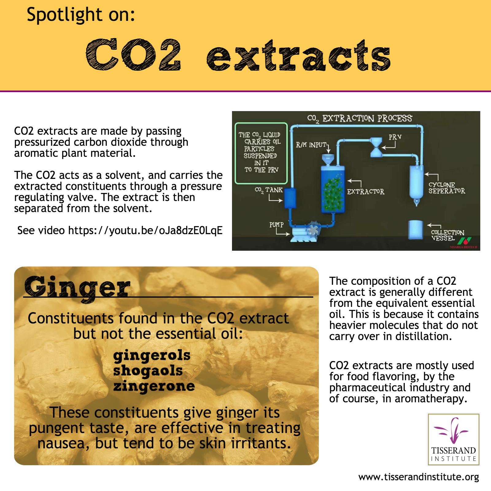 CO2 extracts – what are they and how they are made