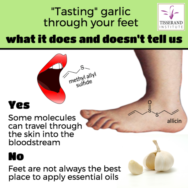 "Tasting" garlic through your feet and aromatherapy Tisserand Institute