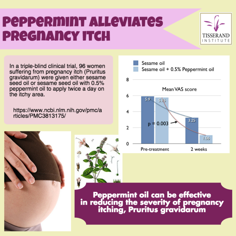 peppermint tea pregnancy third trimester