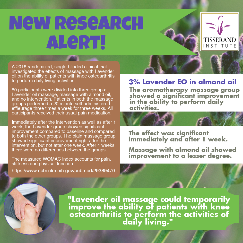 New Research: Lavender oil massage for knee osteoarthritis