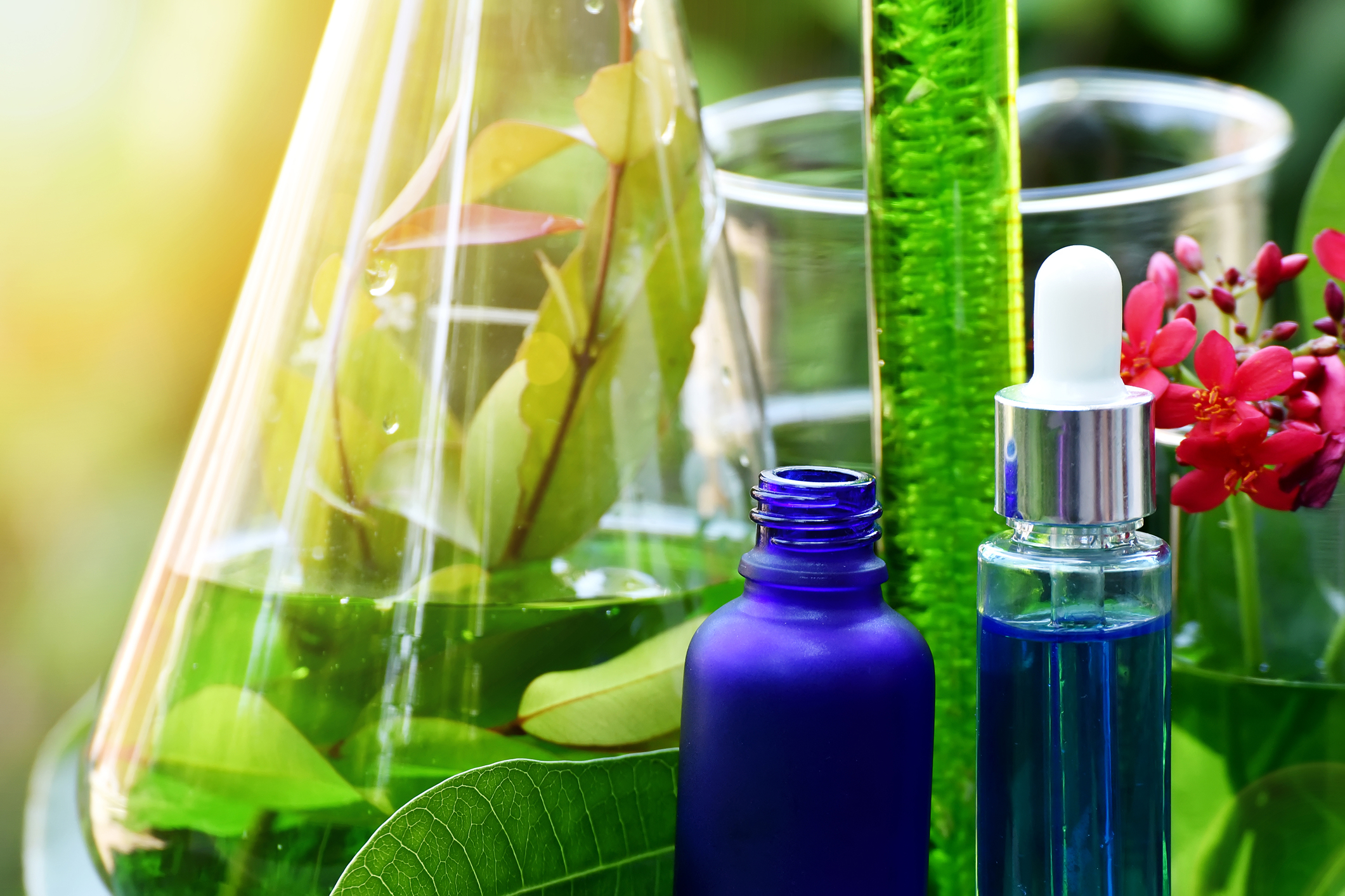 The Case for an Evidence-based Aromatherapy Practice