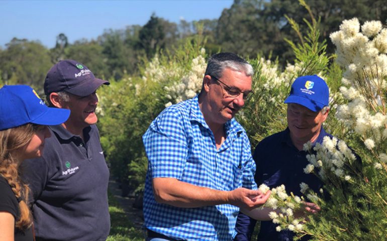 Three people look over a bush with white flowers