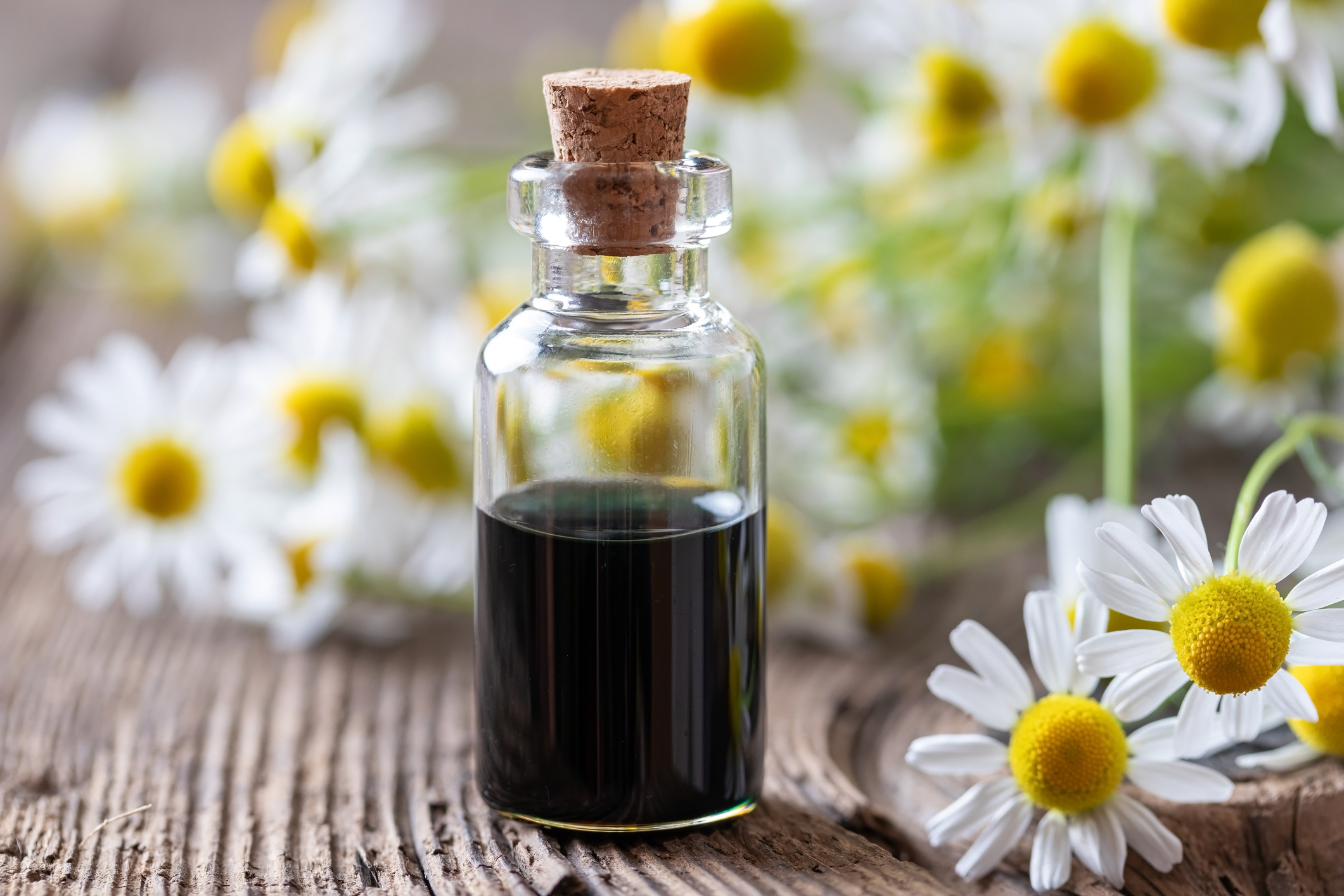 A bottle of dark blue liquid with a background of chamomile flowers