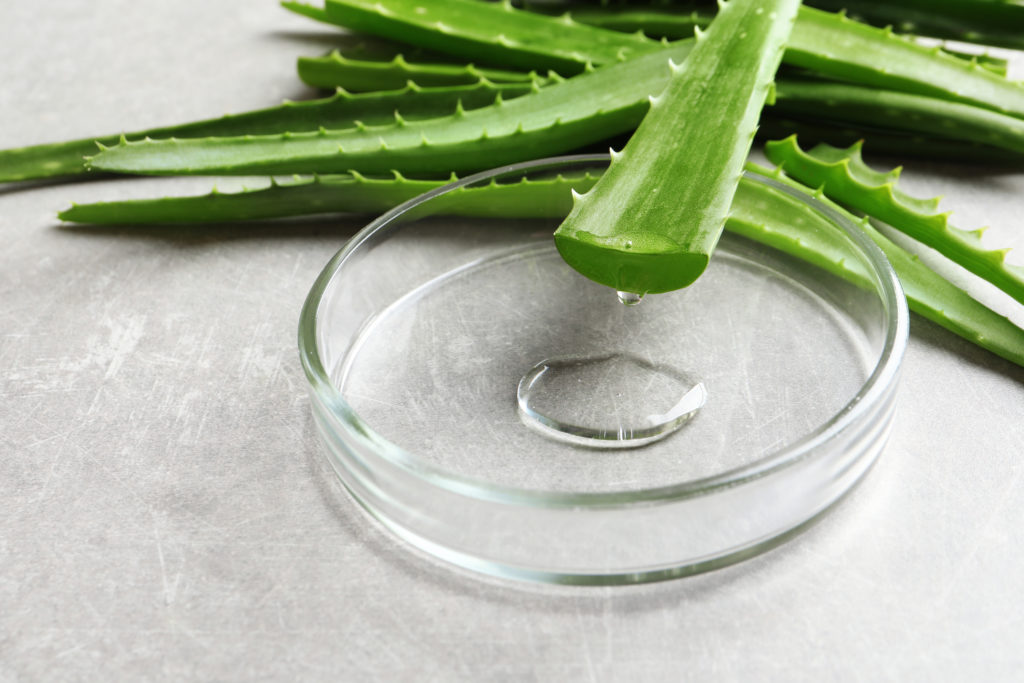 Aloe Vera and Essential Oils - Tisserand Institute