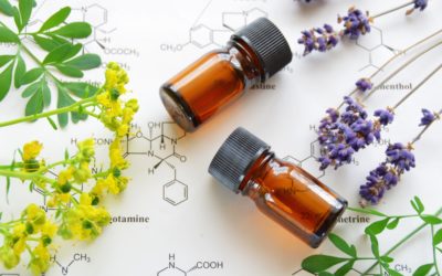 Can Lavender oil cause breast growth in children?